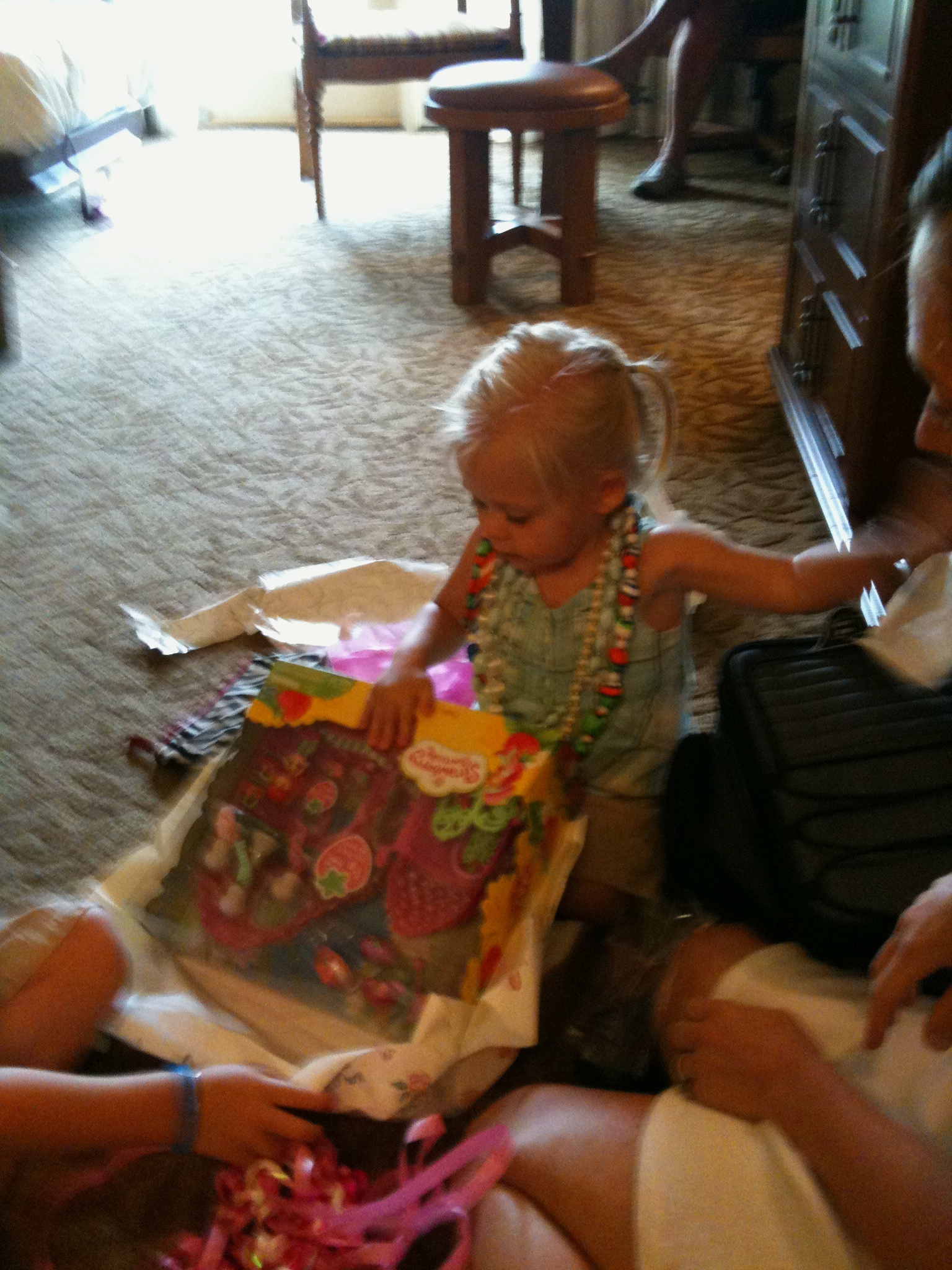 2010-05-30-01 Sydney's 2nd BD.jpg